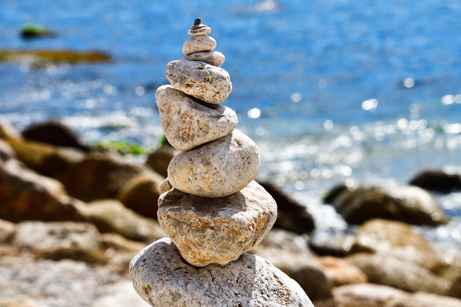 article preview image